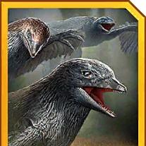 microraptor