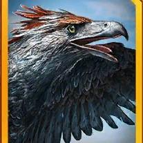 haast eagle