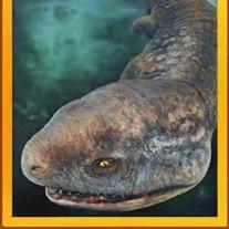 koolasuchus