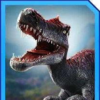 irritator