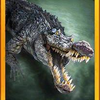 gryposuchus