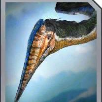 hatzegopteryx