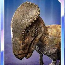 homalocephale