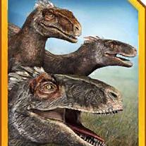 moros intrepidus