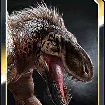 gorgotrebax