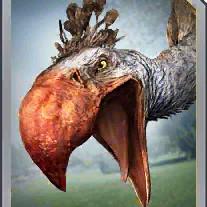 phorusrhacos