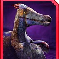 pyrritator