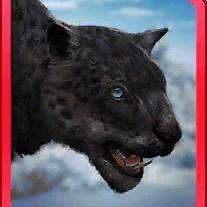 panthera blytheae nyx
