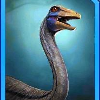 ornithomimus