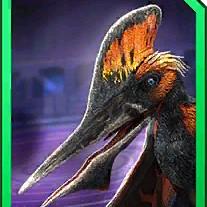 quetzaljara