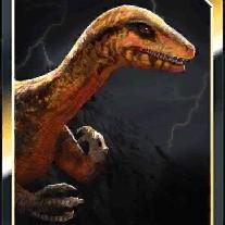 plateorex ember