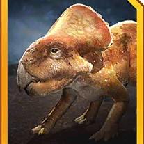 protoceratops