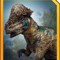 pachycephalosaurus