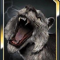 sah panthera