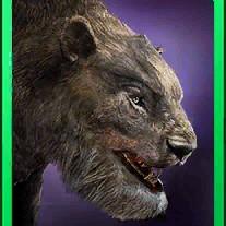 pantherator