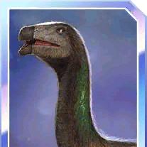segnosaurus sage