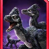 sinokotaraptor