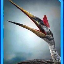 quetzalcoatlus