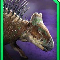 protonodon