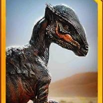 stegoceras