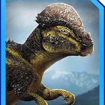 sphaerotholus