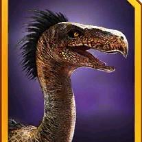 velosrhacos