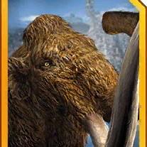 woolly mammoth