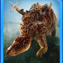 wuerhosaurus