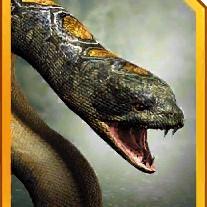 titanoboa