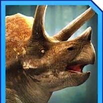triceratops