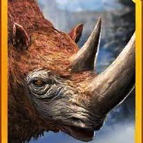 woolly rhino