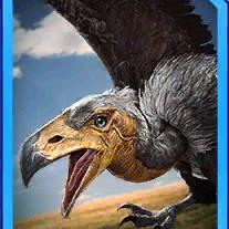 argentavis