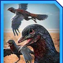 archaeopteryx
