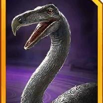 aquilamimus