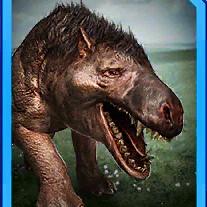 andrewsarchus