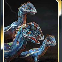 compsovenator