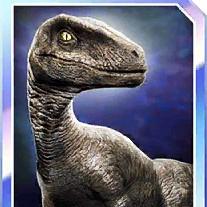 clever girl
