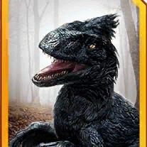 dakotaraptor