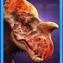 einiasuchus