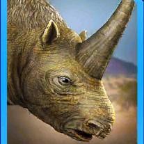 elasmotherium