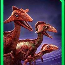 compsocaulus