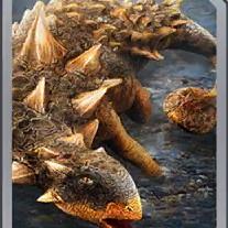 euoplocephalus
