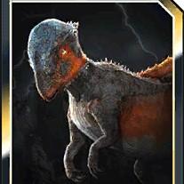glyptosavis