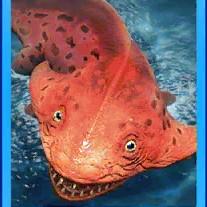 diplocaulus gen 2