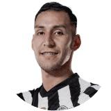 M.Fernandez