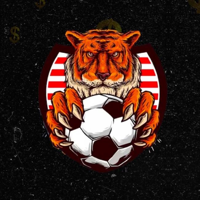 Guerreros Fc