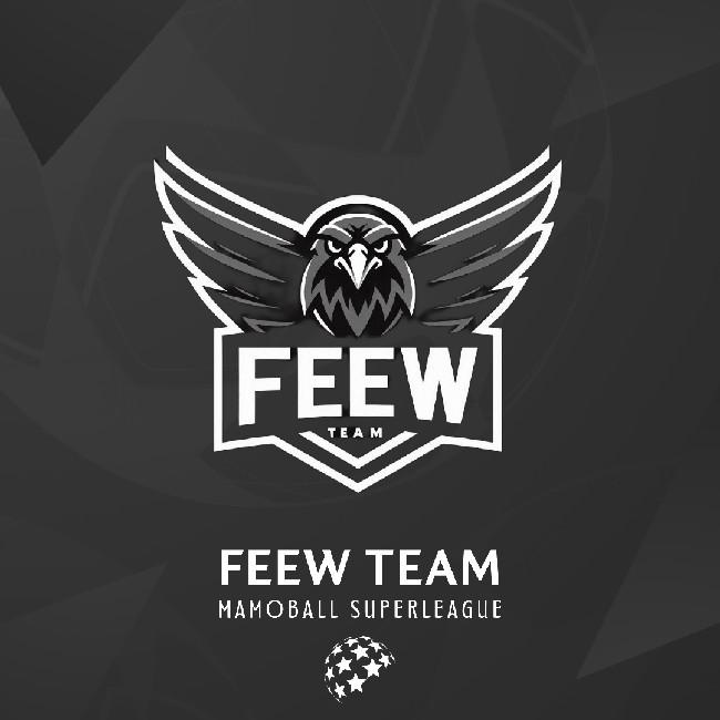 Feew team