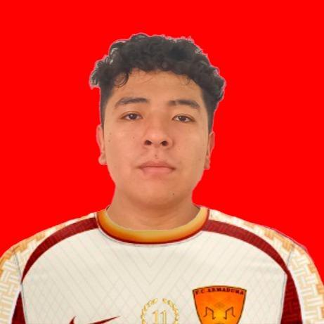 Jordan Ernesto Peña Copa