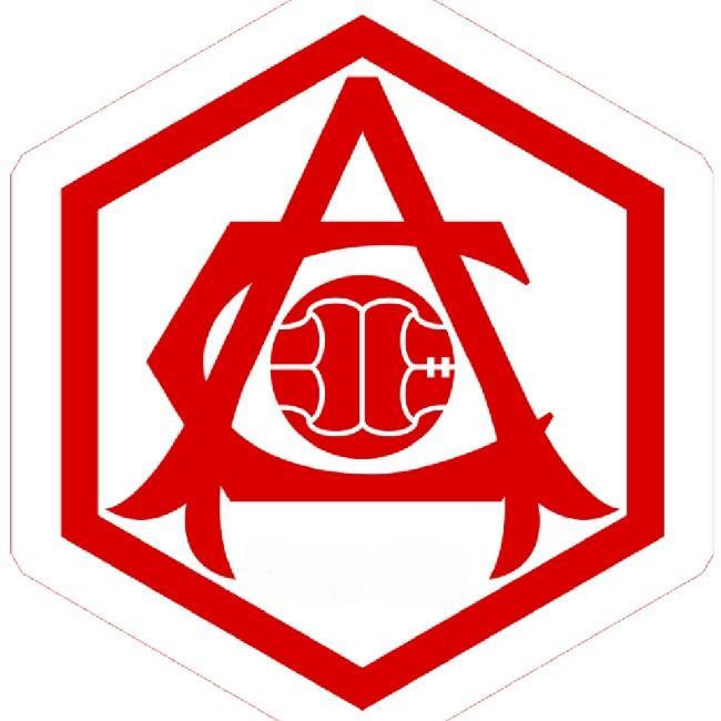 Арсенал Солитьюд