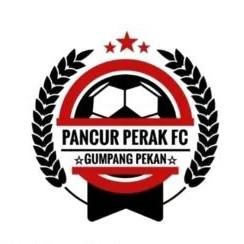 PANCUR PERAK